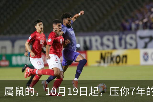 属鼠的，10月19日起，压你7年的死结，终于松了，从此一飞冲天
